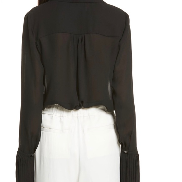 Frame Sheer Pleated Blouse -gorgeous cuffs! - Picture 4 of 6